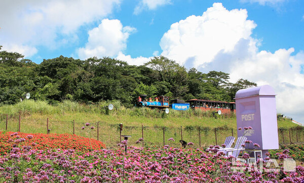 사진=뉴시스 제공.