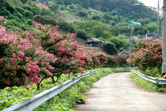 사진=뉴시스 제공.