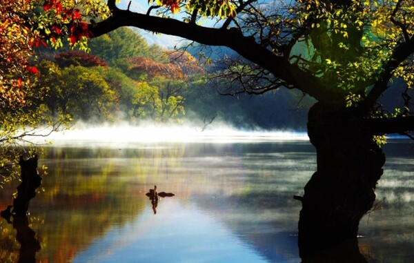 사진=뉴시스 제공.