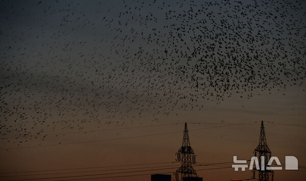 사진=뉴시스 제공.