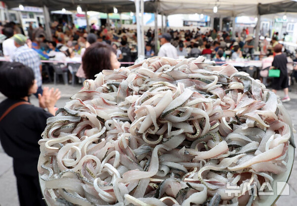 사진=뉴시스 제공.