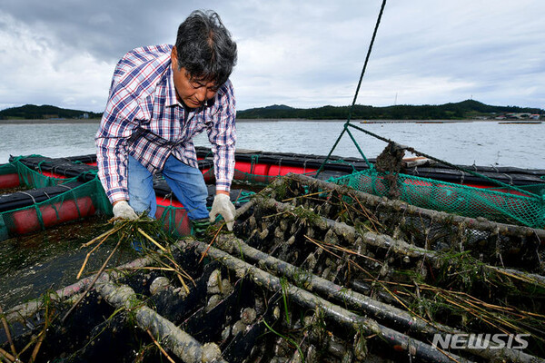 사진=뉴시스 제공.