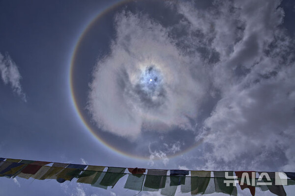 사진=뉴시스 제공.