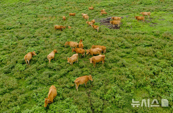 사진=뉴시스 제공.