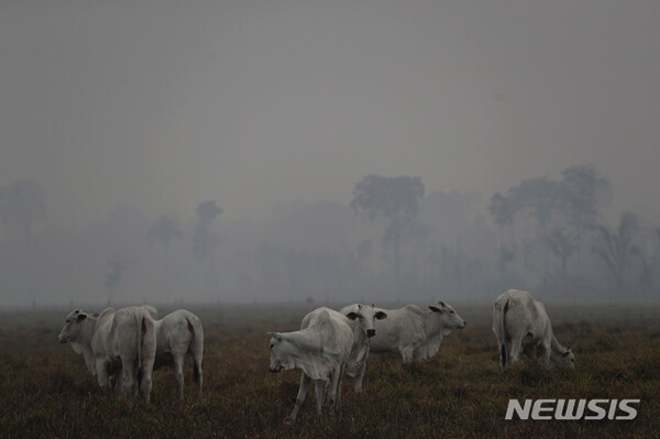 사진=뉴시스 제공.