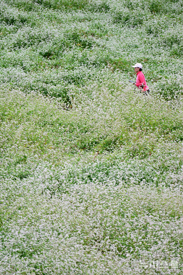 사진=뉴시스 제공.