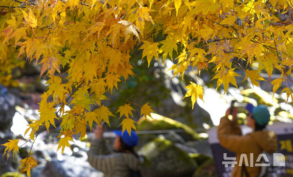 사진=뉴시스 제공.