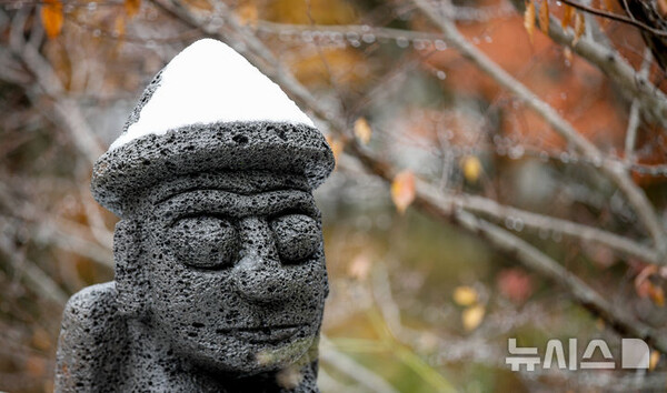 사진=뉴시스 제공.