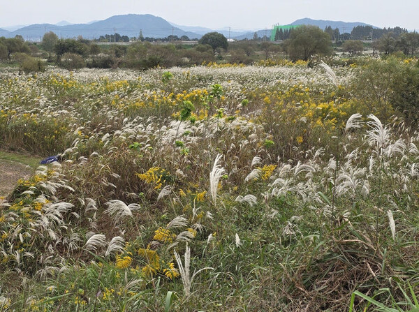 사진=뉴시스 제공.