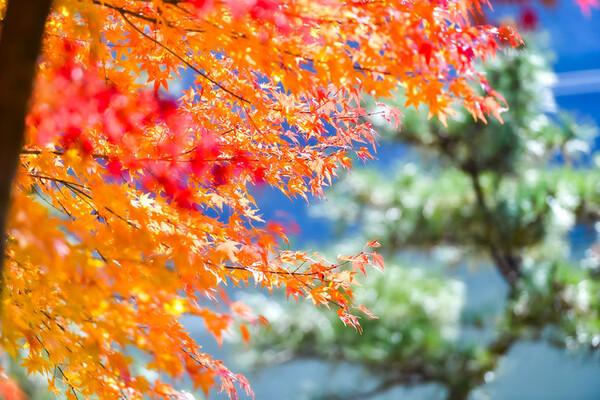 사진=뉴시스 제공.