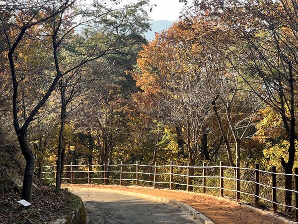 사진=뉴시스 제공.